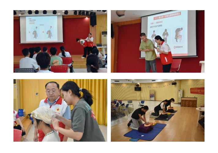 09DBD03B02E2E938BACD1AECAB1_733233A6_9AE6A