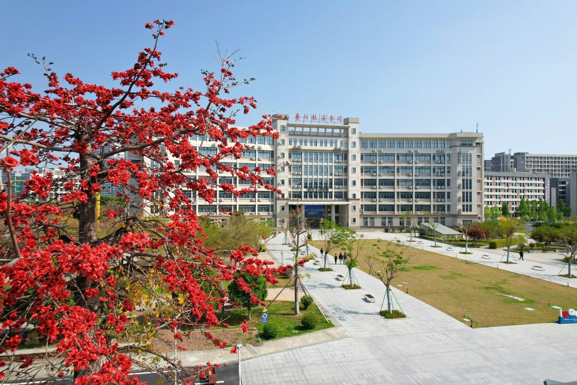 F5B628D7B0C5CFE787B08276D74_DED7C188_39113