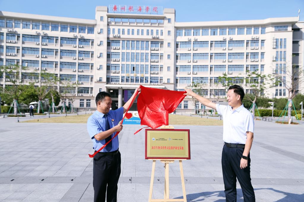 AE159BF6FFD9CD46A84D8B198E8_090FA27D_1CA35