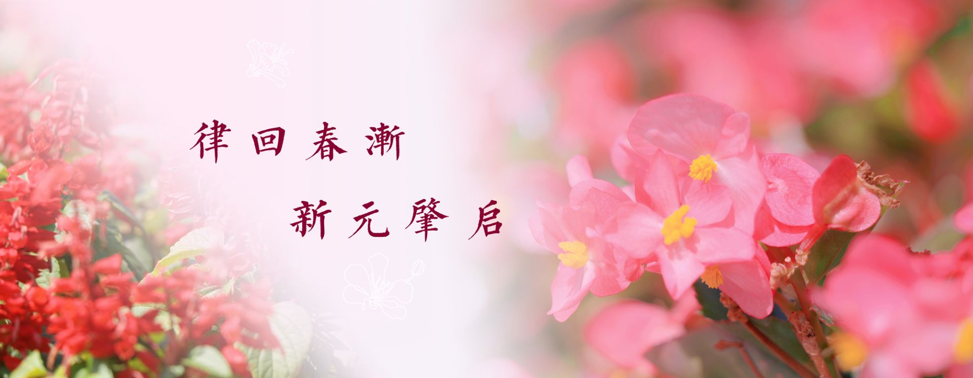 E2CD8FC4B9A1649D0EE086354E1_514EE4F8_1AF96