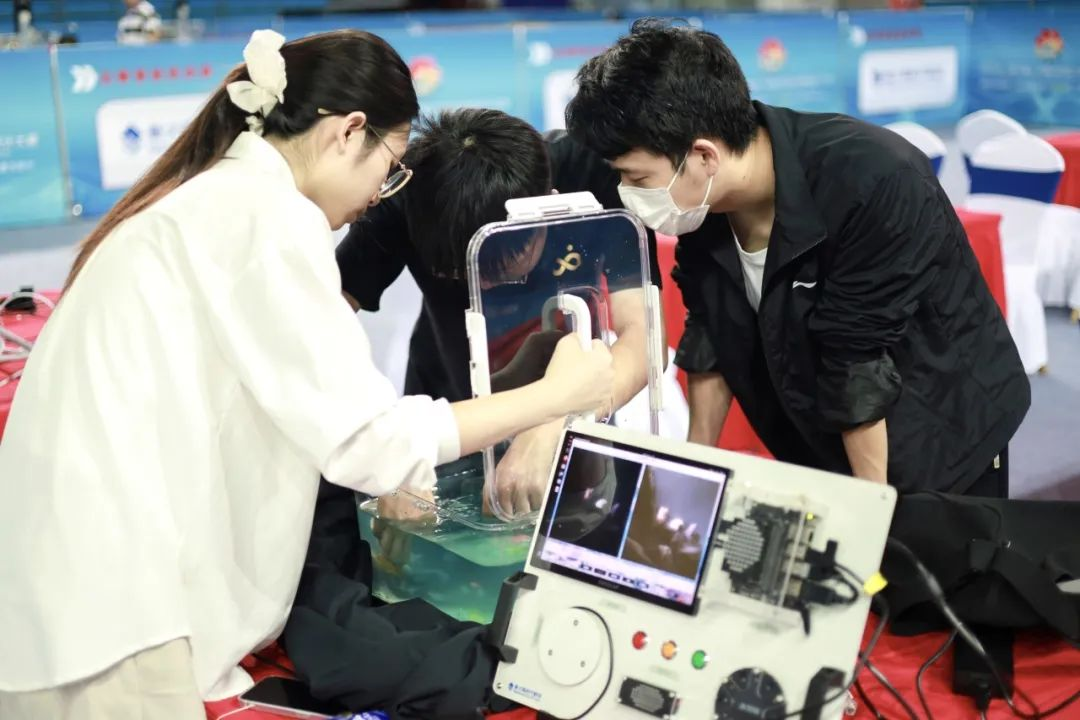 3021C887B6BDD98C14011919B53_13DD1A3F_BE338