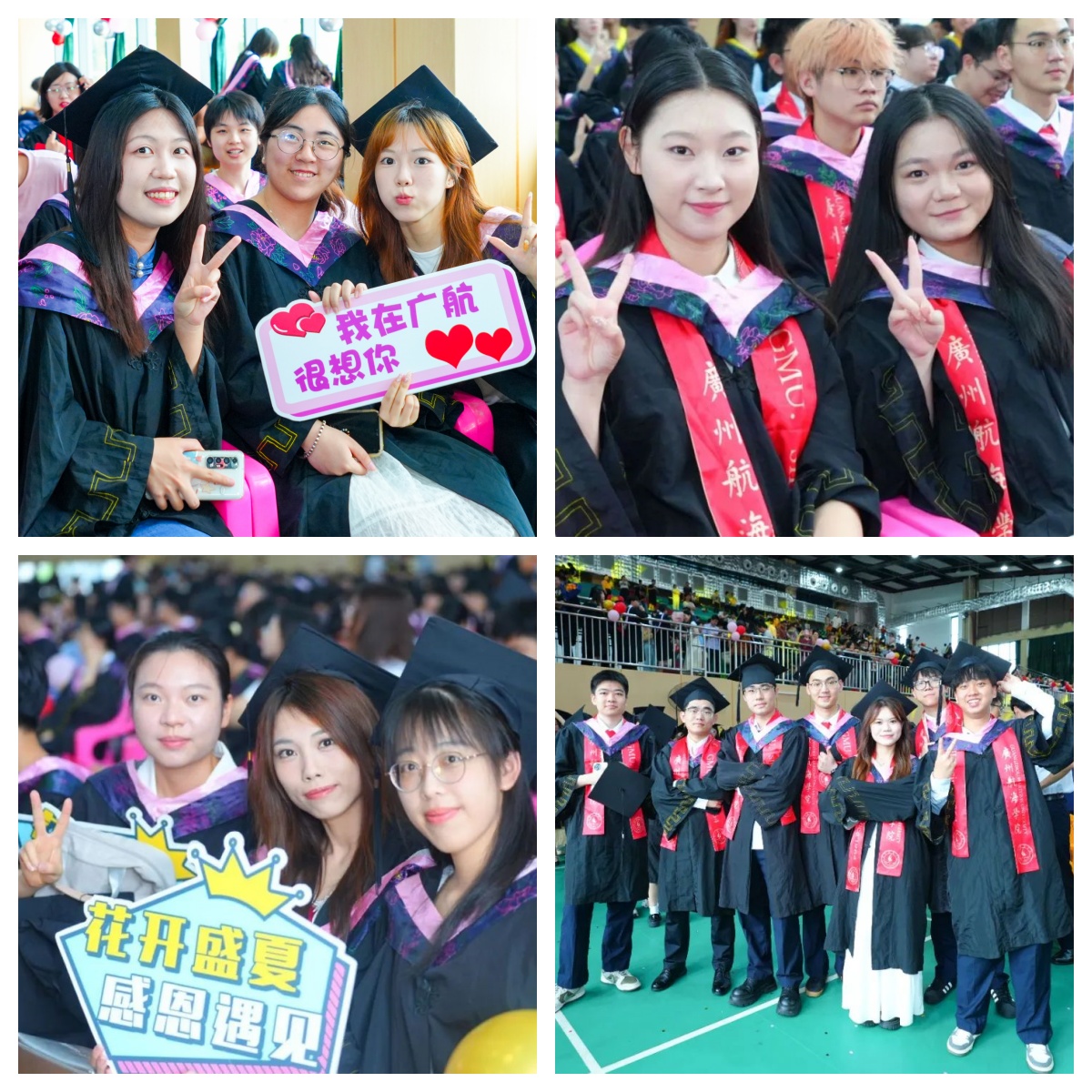 6AAB5BEBE83777417D79F6549C7_18C86703_84F87