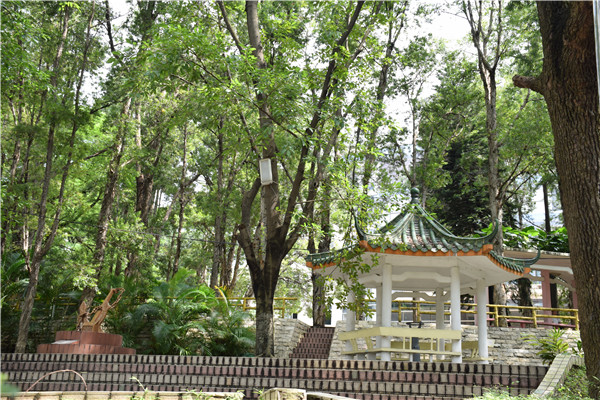 5B66E2B016BDDA951D527BB894B_BA4E895B_3021B