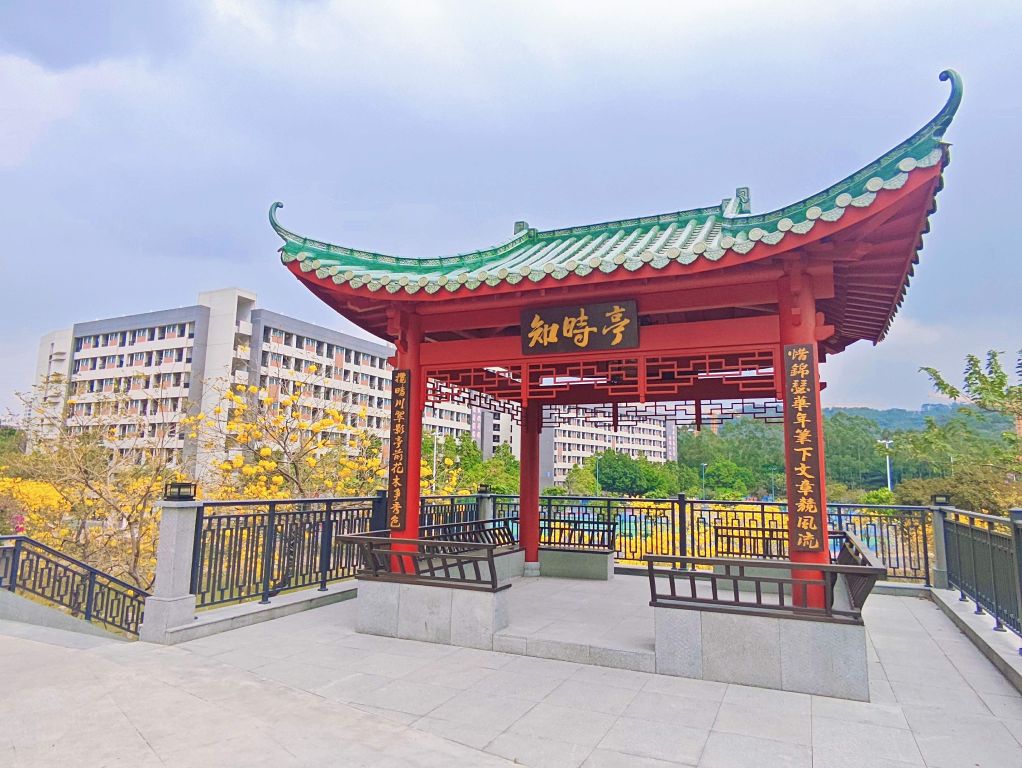 EE31991645C25BB3F5A13EC25F1_96AB0AE2_24F69