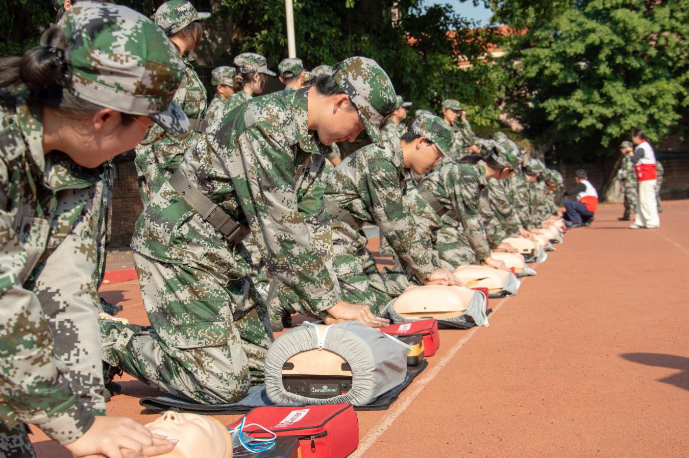 BDE41BF53EF4FFF4E45F4E43A75_B83D365C_37099