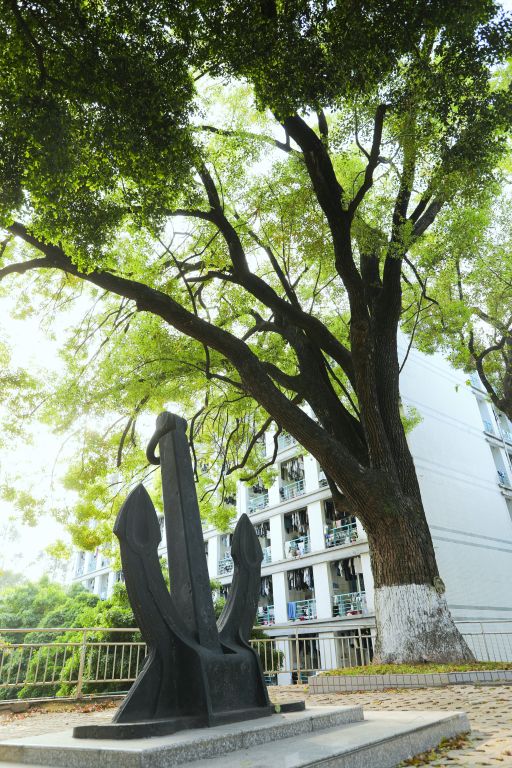 EF7E115A1AB3F033CC906777841_6E075B4D_20653